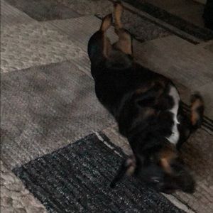 Meet your Posher, Vladimir